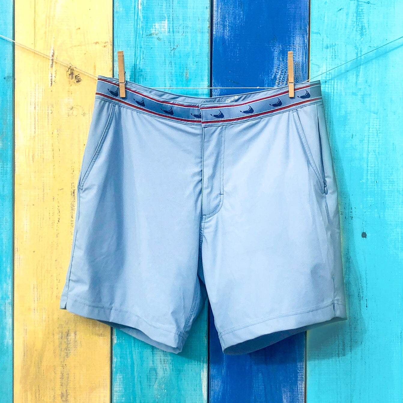 Nantucket Grey Athletic Mens Swim Trunk Caribbean Stripped Wall Hanging